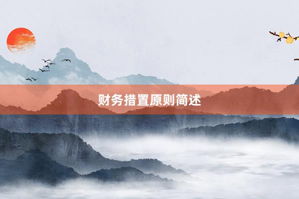 财务措置原则简述