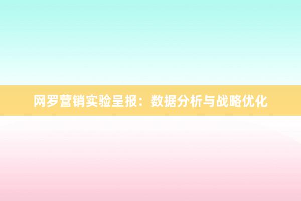 网罗营销实验呈报：数据分析与战略优化